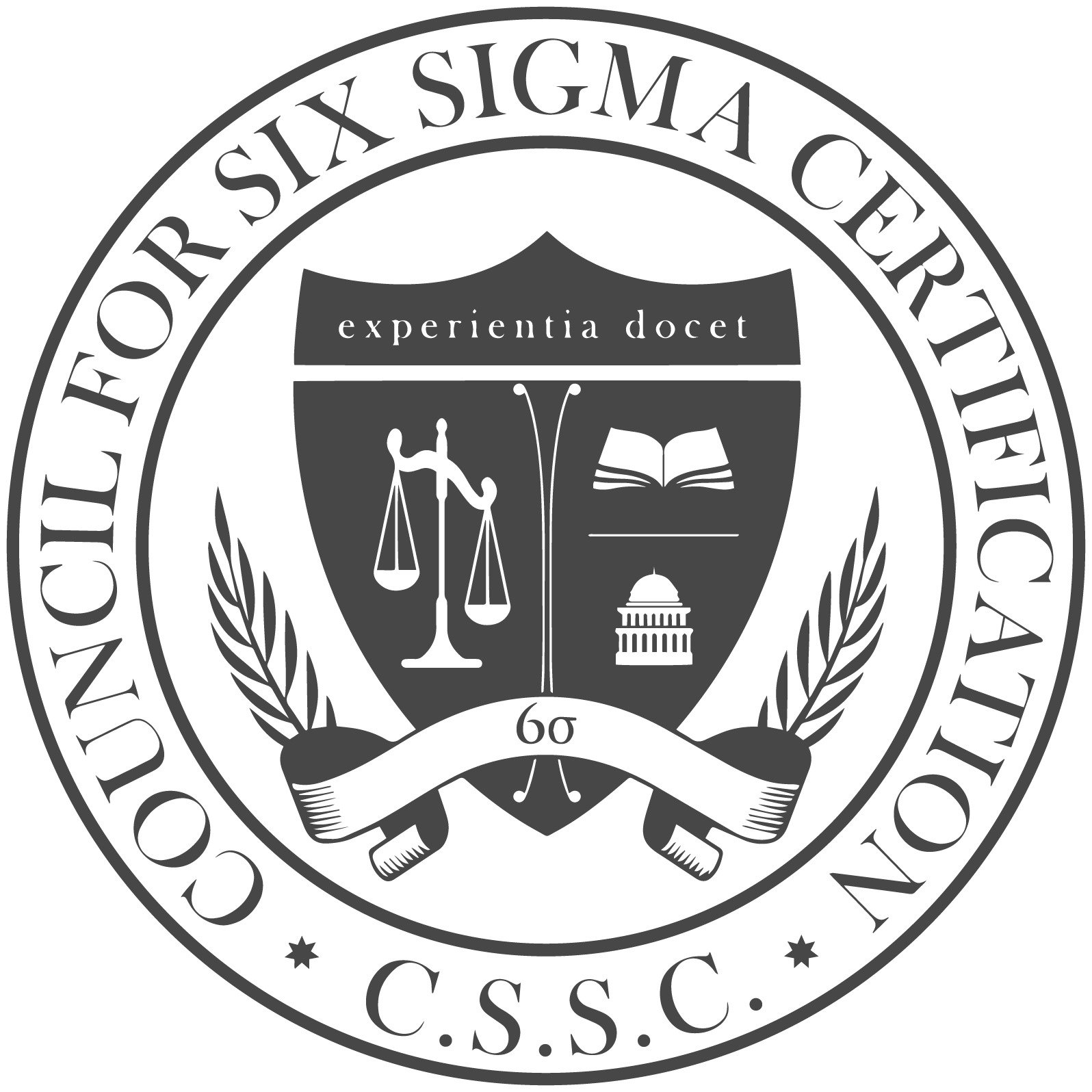 six sigma council